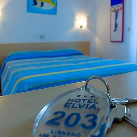 ホテル Elvia 3*